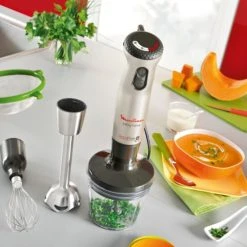 Auslauf 😉 Moulinex DD866A, InfinyForce, Stabmixer, Silber 🔔 -Moulinex Verkaufs unnamed file 531